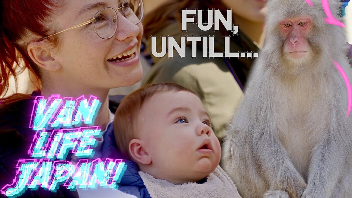Snow Monkey Park (Jigokudani Yaen Koen) Nagano • Japan van life trip e14