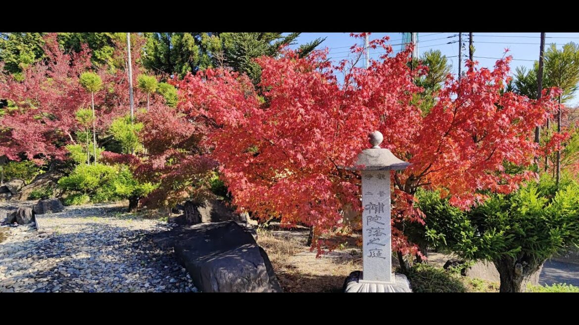 20231120 紅葉騎行之旅足版 Red leaves riding trip full version – English subtitle 20231120 紅葉騎行之旅足版 Red leaves riding trip full version - English subtitle