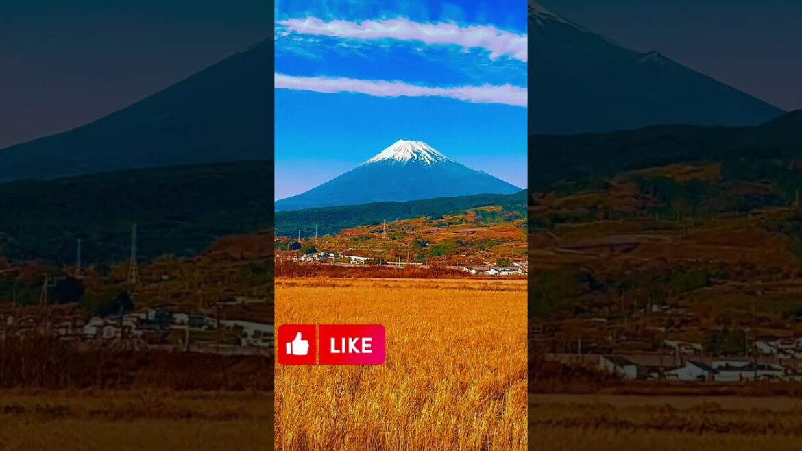 Mount Fuji – 富士山 秋、冬、ෆුජි ගිනි කන්ද #japan #travel #nature #beautiful #camping #autumn  #mountains Mount Fuji - 富士山 秋、冬、ෆුජි ගිනි කන්ද #japan #travel #nature #beautiful #camping #autumn  #mountains