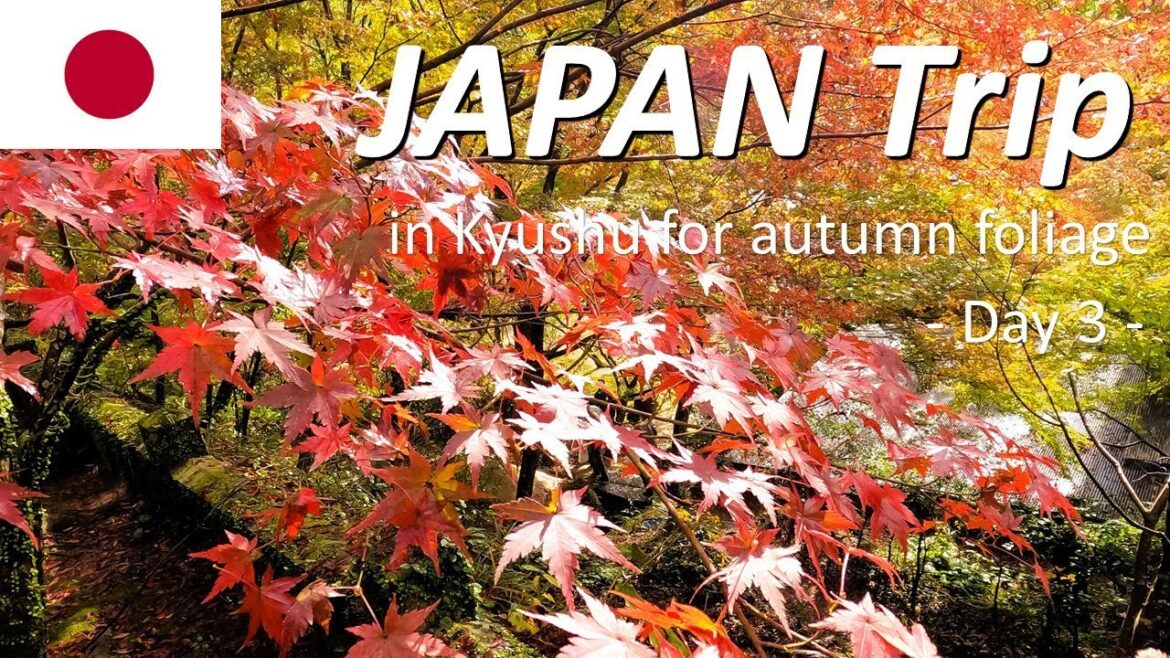 【JAPAN Trip】🇯🇵3-day trip to Kyushu for autumn foliage tour / Day 3 : Saga & Fukuoka 【JAPAN Trip】🇯🇵3-day trip to Kyushu for autumn foliage tour / Day 3 : Saga & Fukuoka