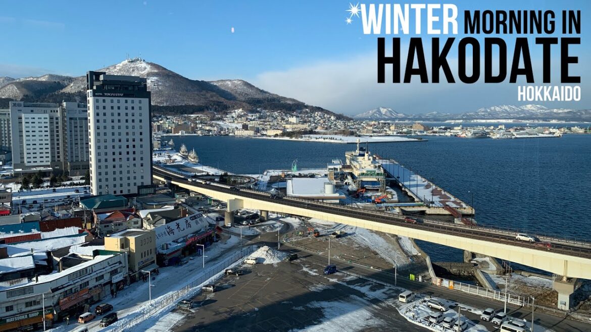 Jalan Jalan ke Hakodate Morning Market | Japan Trip 2023