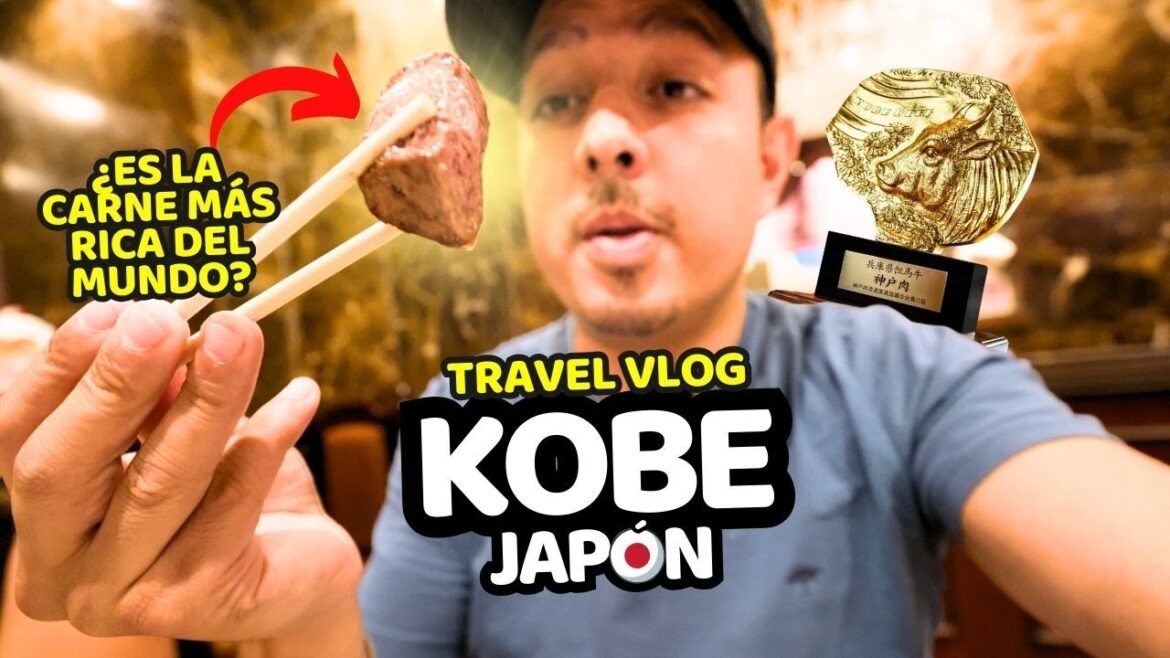 🇯🇵 Fuí a PROBAR LA CARNE MÁS CARA DEL MUNDO a KOBE! JAPÓN 🥩