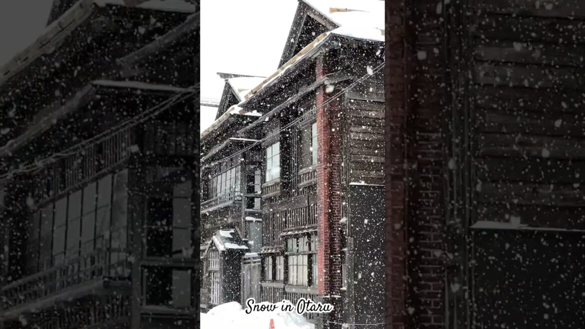 Otaru Snow first day of 2024 #travel #japan #otaru #snowfall #newyear2024 #newyear