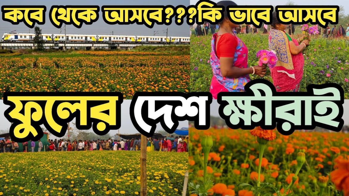 ক্ষীরাই ফুলের বাগান😍khirai one day trip from kolkata😍khirai flower garden 2024