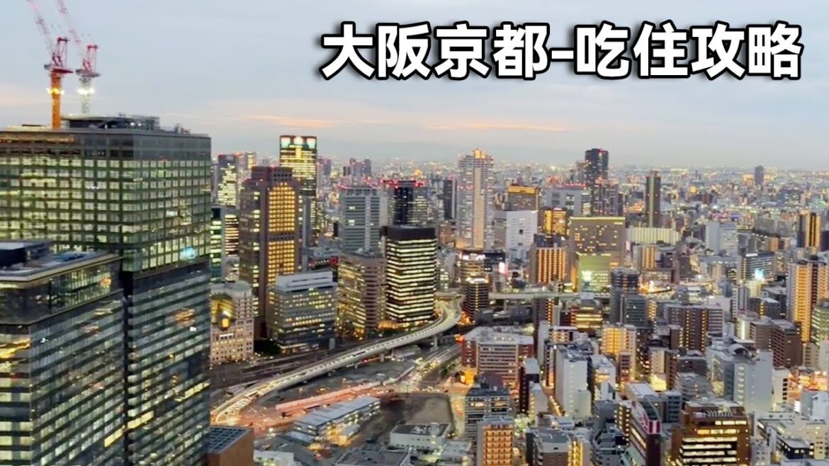 结束了大阪京都之旅,猜猜老刘这十几天到底花费多少,真实感受了人文环境名胜古迹!【行走世界的北京老刘】 结束了大阪京都之旅,猜猜老刘这十几天到底花费多少,真实感受了人文环境名胜古迹!【行走世界的北京老刘】