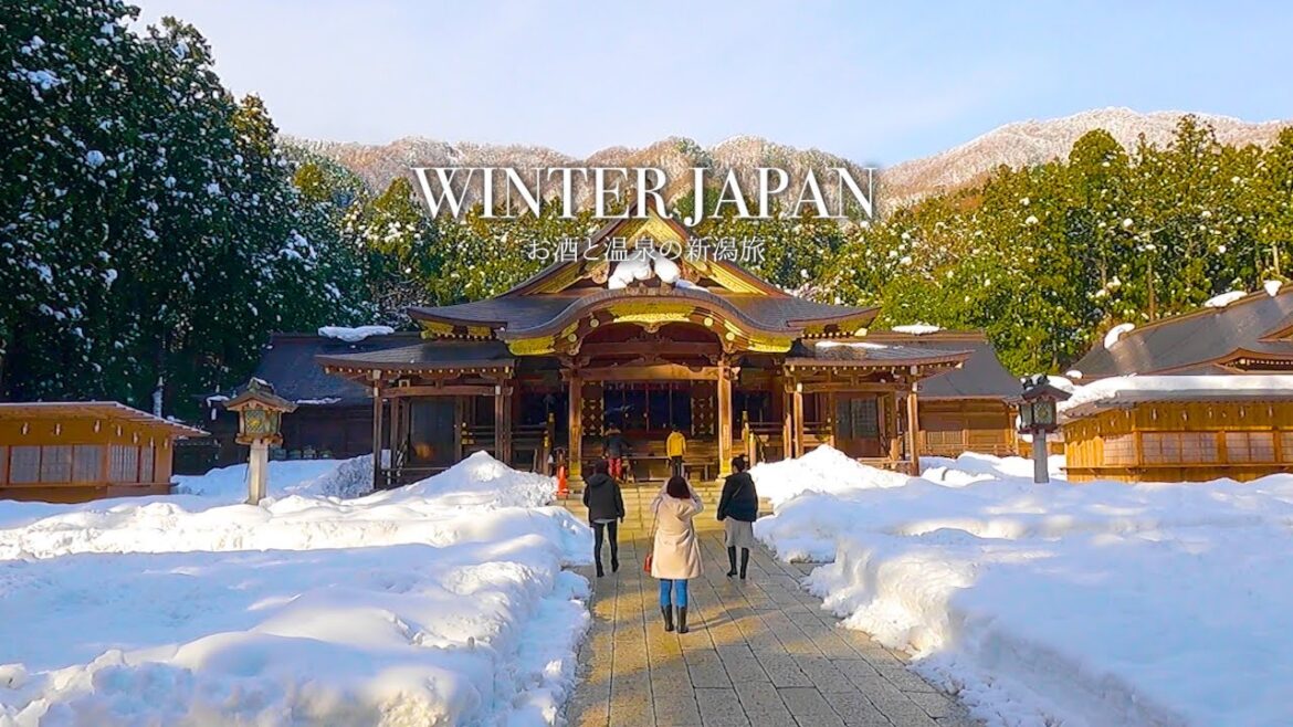 [Winter Japan] Japan's most beautiful snowy landscape and shrines in Niigata | travel vlog