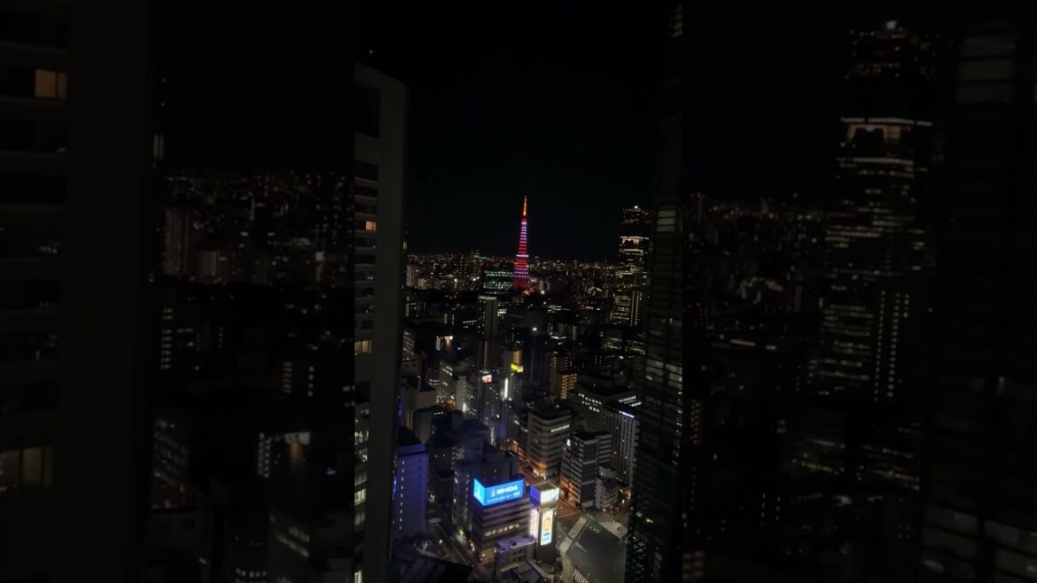 Tokyo Tower Night View(1) 13 September 2023 #shorts #4kseoullife  #shorts #4kseoullife