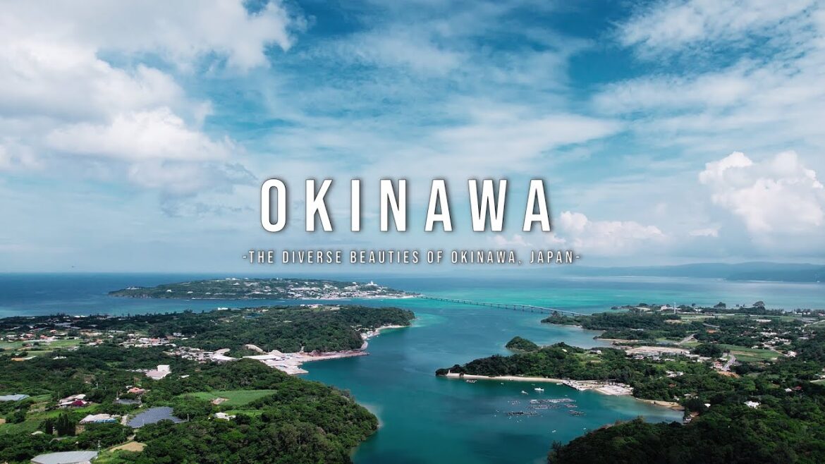 Discover Okinawa's Diverse Beauties | Japan Documentary Journey