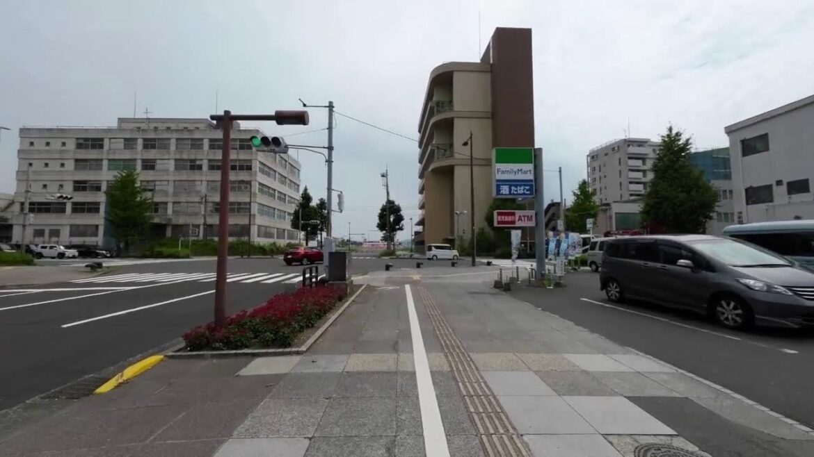 Kagoshima Walk Japan