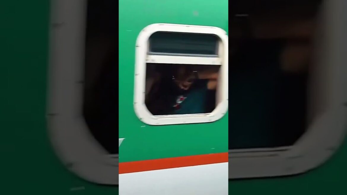 Parallel crossing Dhaka to Cox’s bazar Train #bangladesh #shorts #short Parallel crossing Dhaka to Cox's bazar Train #bangladesh #shorts #short