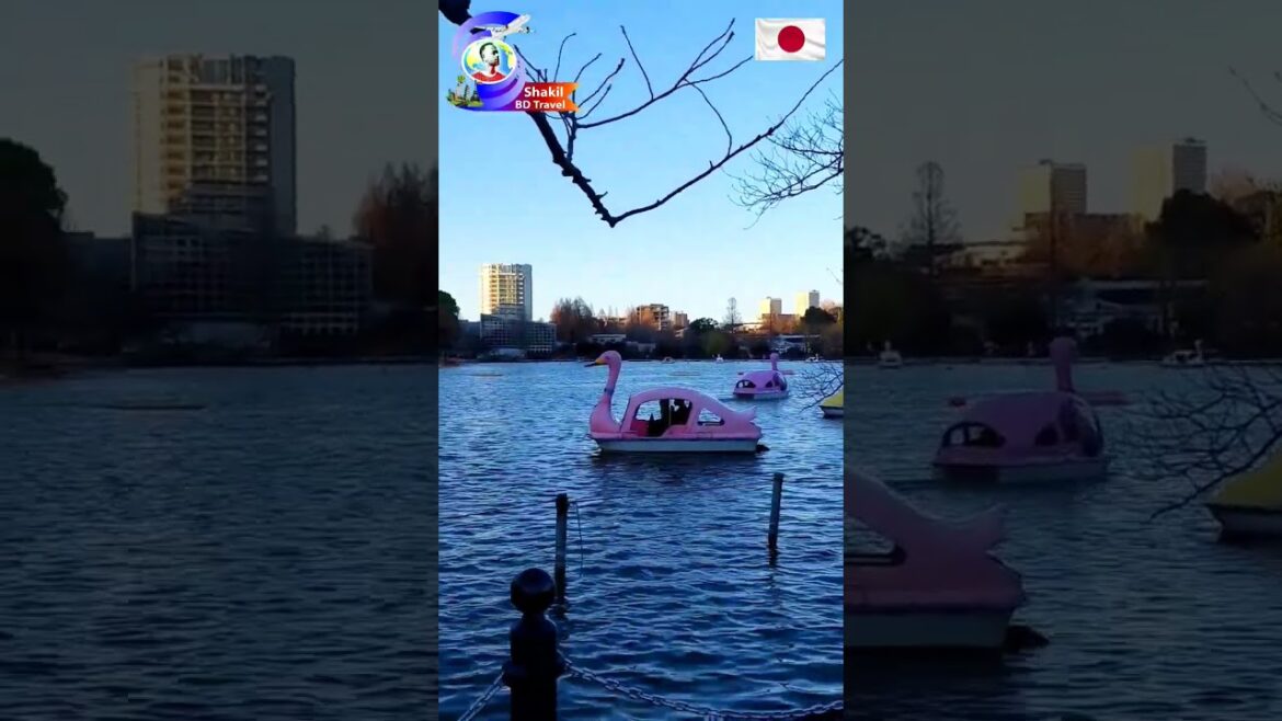 ueno park tokyo travel #japan #tokyo #japantravel #shorts #viral