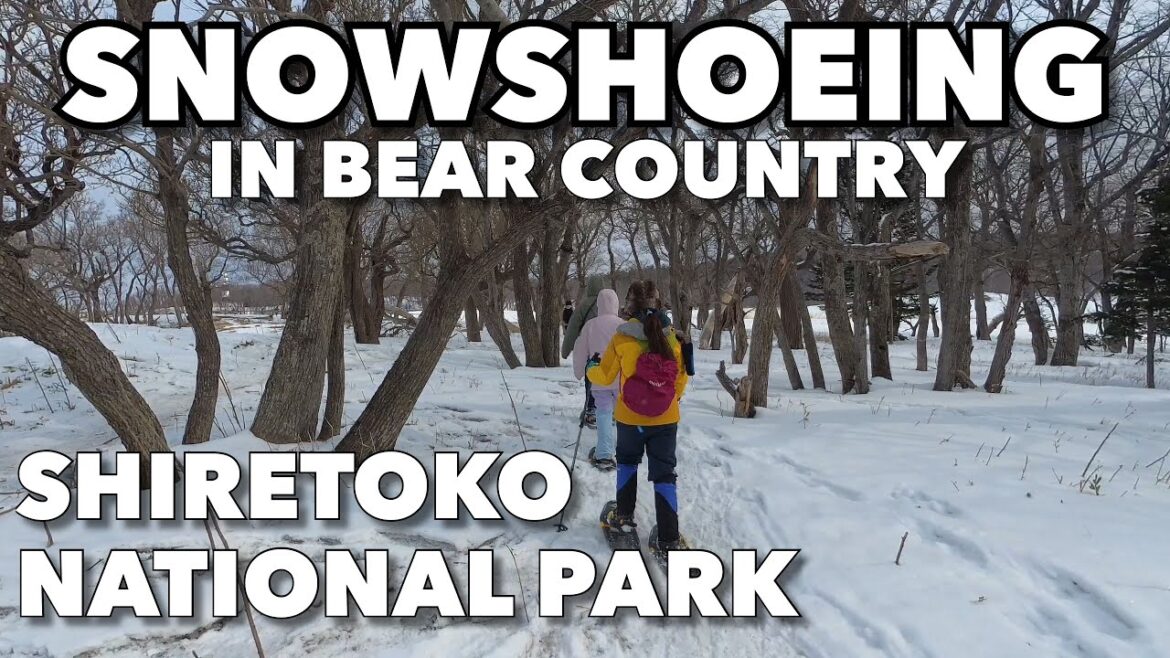 Bear Country winter Hiking at Shiretoko National Park 知床国立公園 Hokkaido Japan