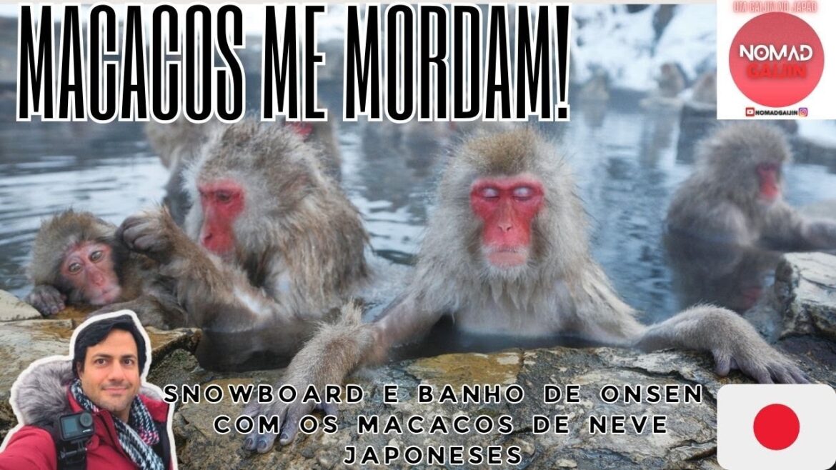 Nagano, o fim: finalmente neve, snowboard e banho de onsen com os macacos japoneses! Nagano, o fim: finalmente neve, snowboard e banho de onsen com os macacos japoneses!