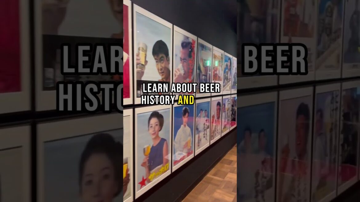 Best Things to Do in Sapporo Hokkaido, Japan (2024 Travel Guide And Tips) Best Things to Do in Sapporo Hokkaido, Japan (2024 Travel Guide And Tips)