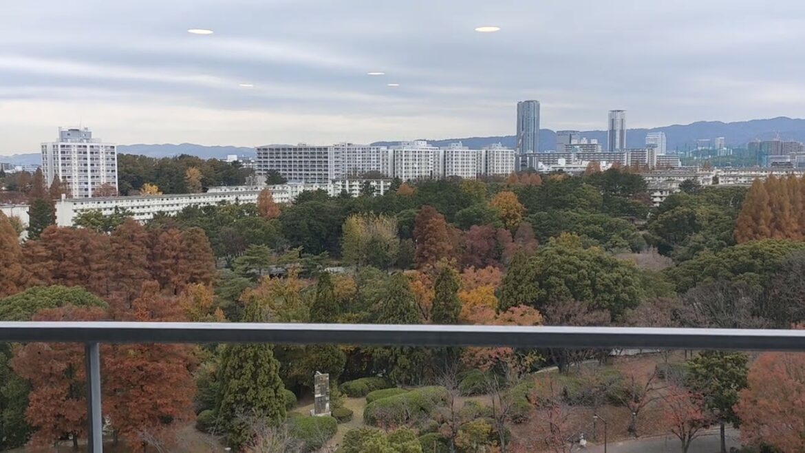 Sky view on Osaka City, beautiful city and forest #foryou #travel #satisfying #food #satisfying Sky view on Osaka City, beautiful city and forest #foryou #travel #satisfying #food #satisfying