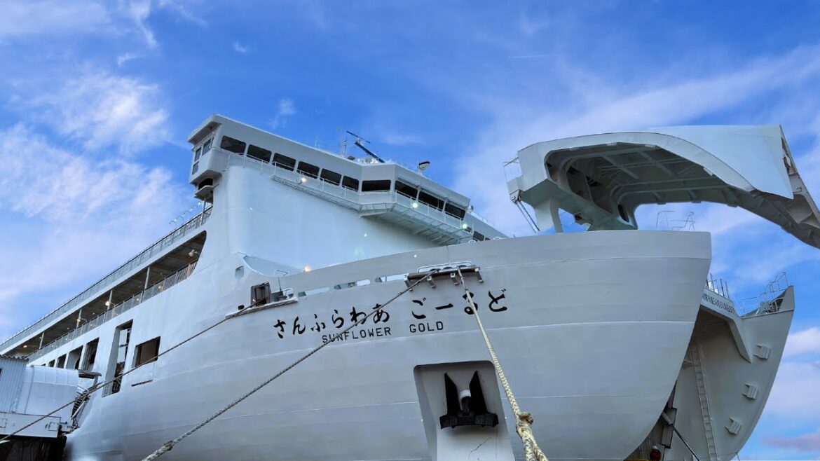 Japan Night Ferry from Oita to Kobe🚢11.5 Hour on  Sunflower Gold Japan Night Ferry from Oita to Kobe🚢11.5 Hour on  Sunflower Gold