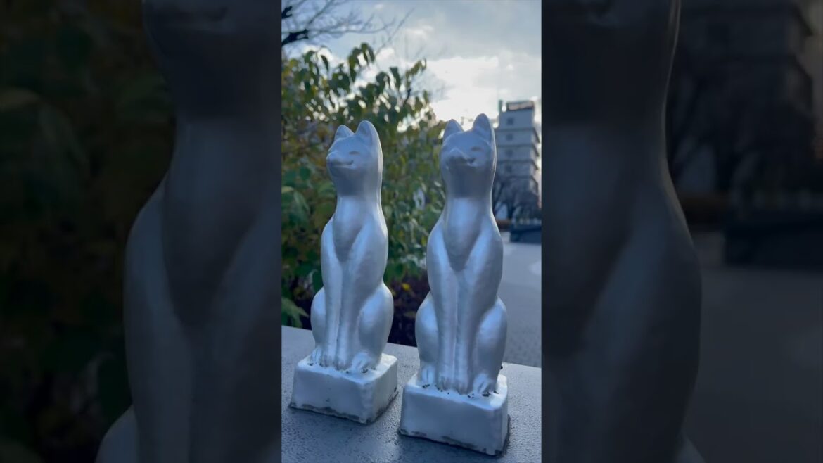 Teppō Kitsune （Bullet-like Foxes, Gun Foxes）#Tokyo #Japan #travel