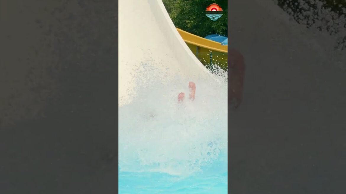 Wait for the Slowmo! 💦🦈