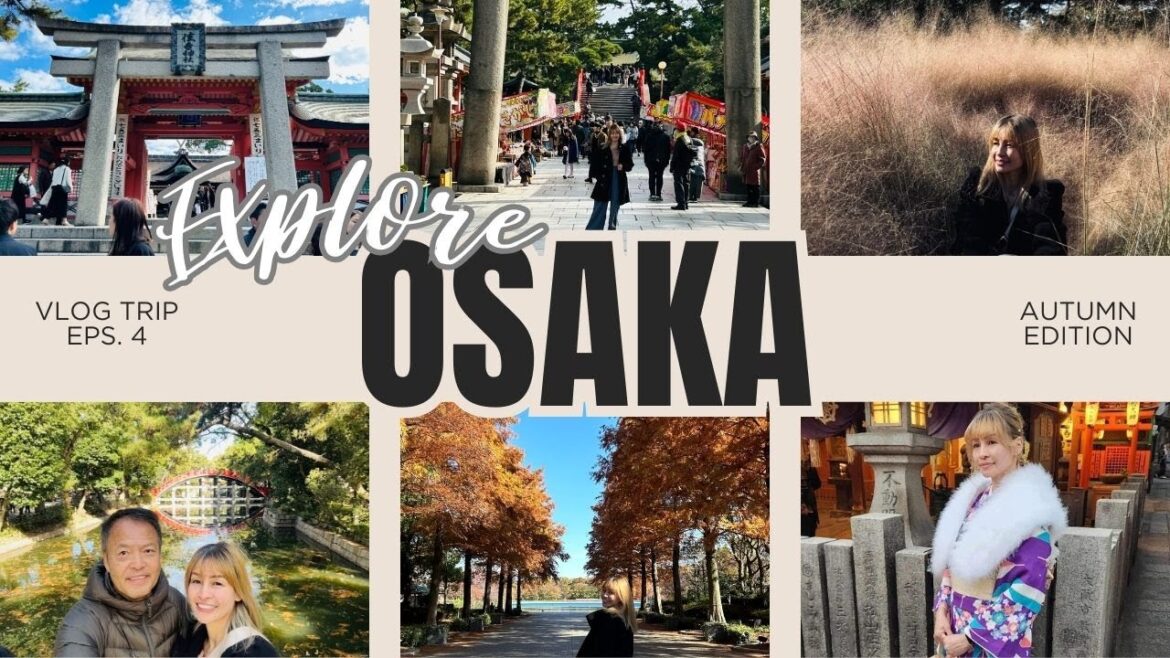 VISIT OSAKA PT. 2 | Travel tips using buses, trains | Admission fees | Itineraries for the day etc..