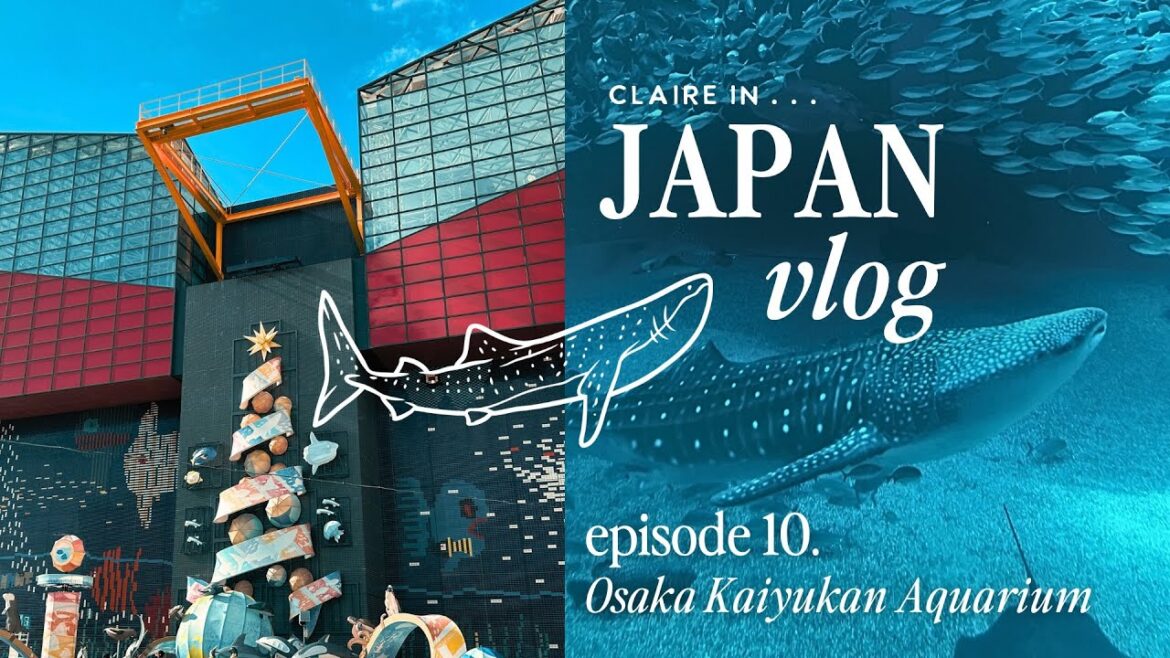 Osaka Kaiyukan Aquarium ⋮ Whale Sharks! [Japan Vlog 2023]