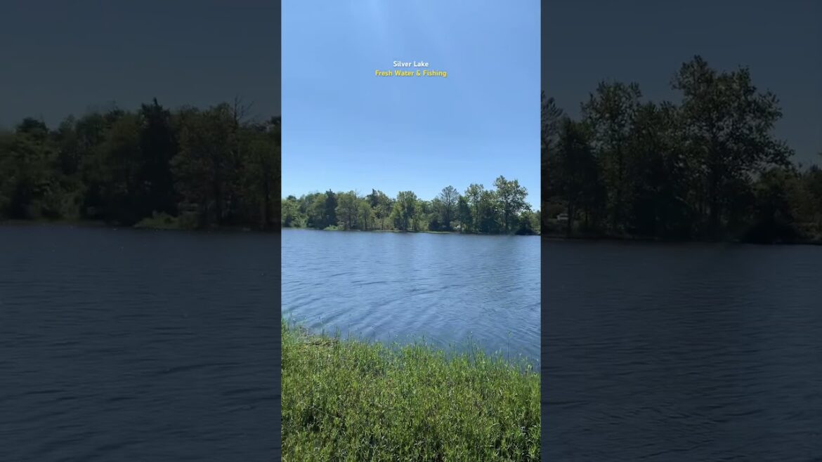 Silver Lake Virginia VA USA