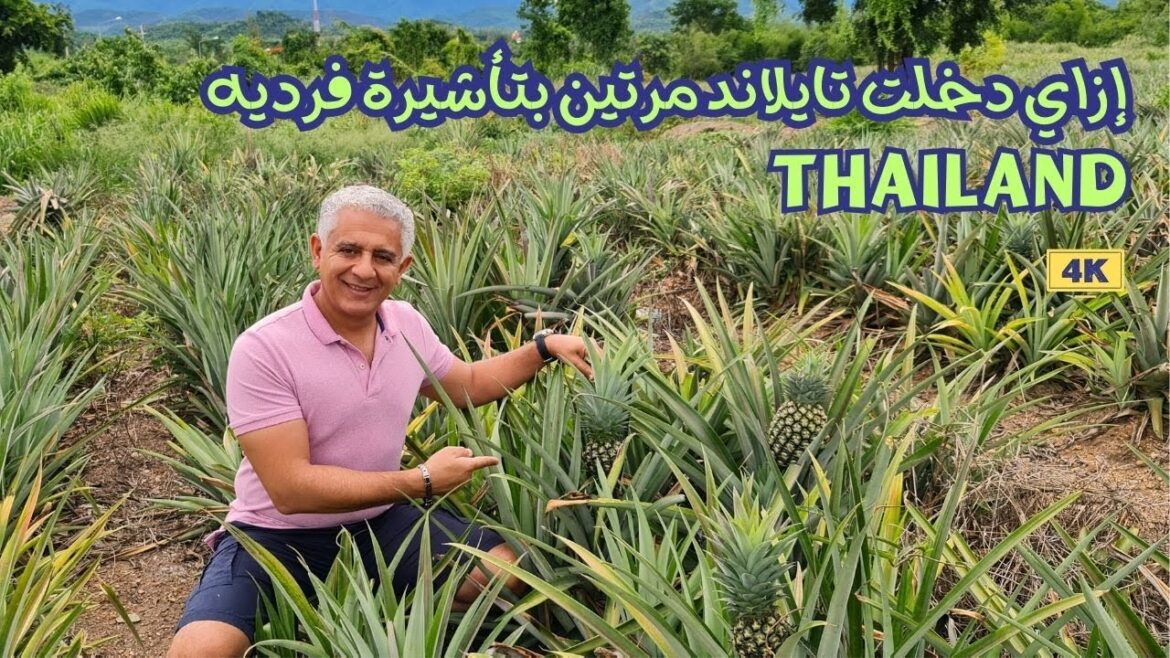 إزاي تقدر تحول تأشيرة تايلاند السياحيه الفرديه (Single Entry) لتأشيره متعددة الدخول (Multi-Entry) إزاي تقدر تحول تأشيرة تايلاند السياحيه الفرديه (Single Entry) لتأشيره متعددة الدخول (Multi-Entry)