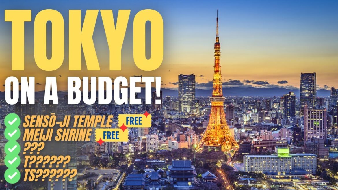 WHAT TO DO IN TOKYO 2024 | Tokyo on a Budget!