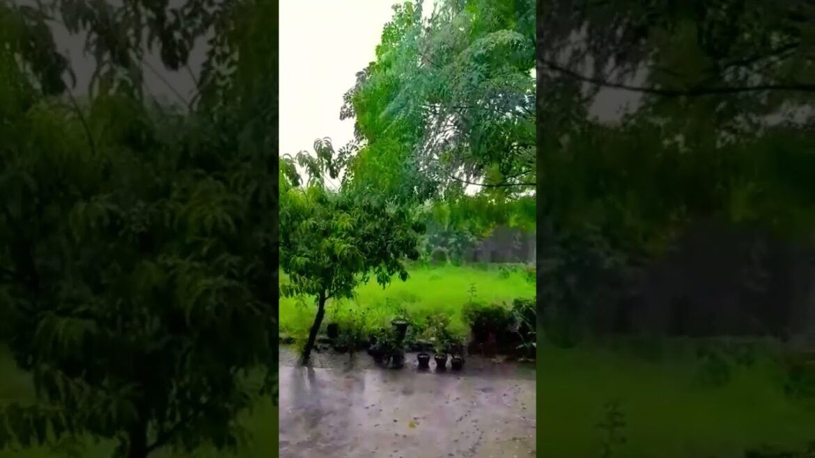 #freepalestine #pakistan #imrankhan #fifa #ipl #psl #ronaldo #kalam #naranvelly #advanture #shorts