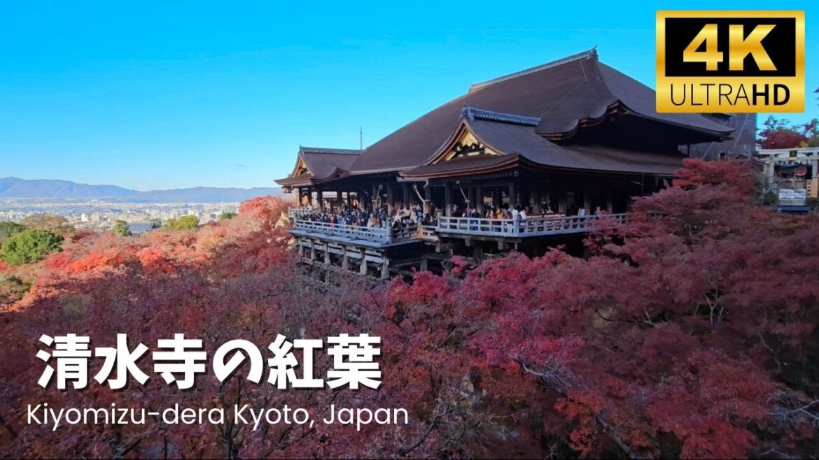 Kiyomizu Dera Famous Fall Foliage! The most visited place in Kyoto in autumn, Japan 【Autumn leaves】