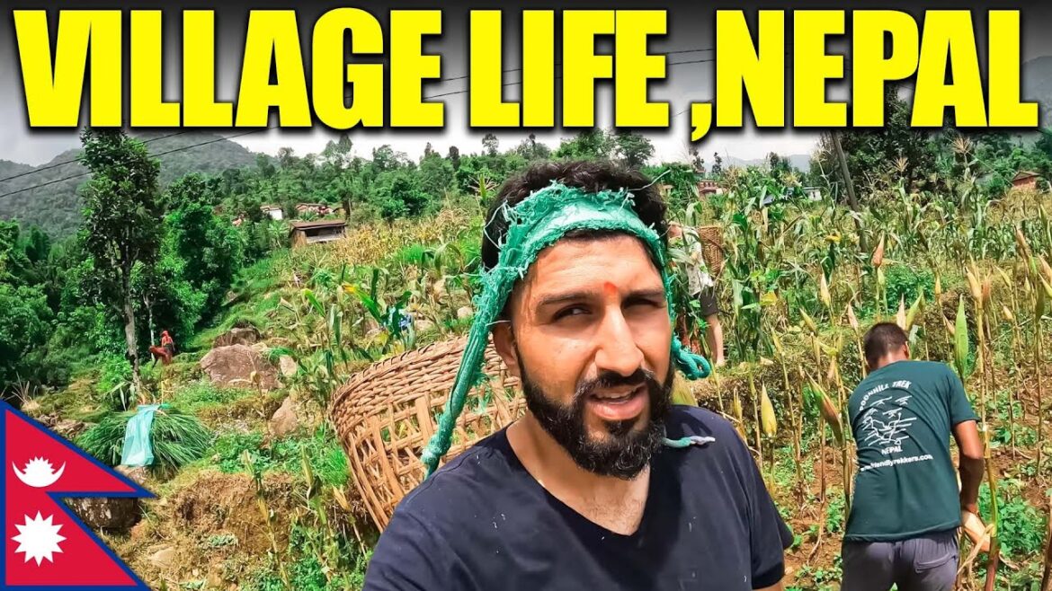 Village life in NEPAL
