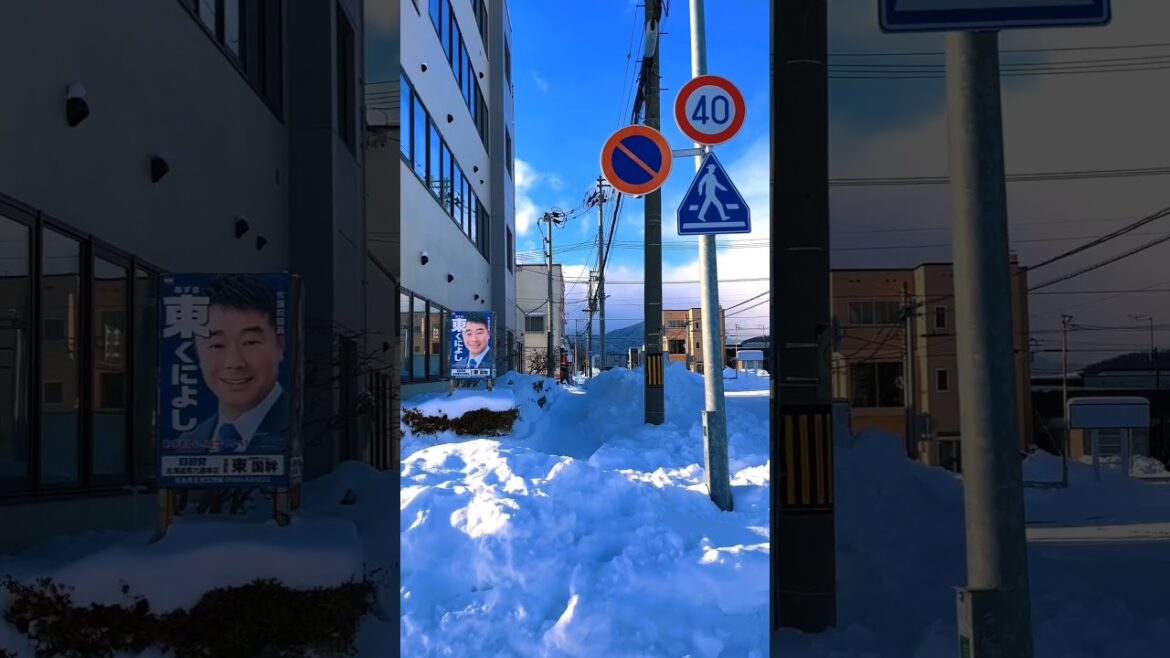 Japan - Furano(Hokkaido) ☃️ #japan #shorts