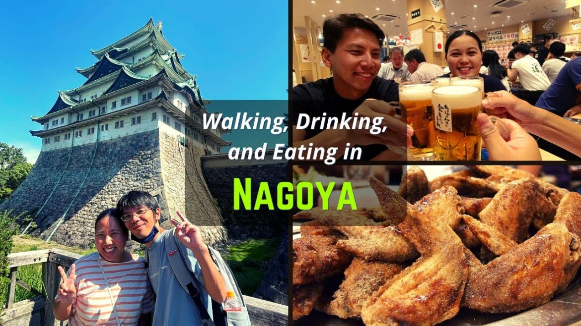 Japan Travel Vlog #8: Nagoya - Day 3 (castle, bars/izakayas, famous Nagoya food)