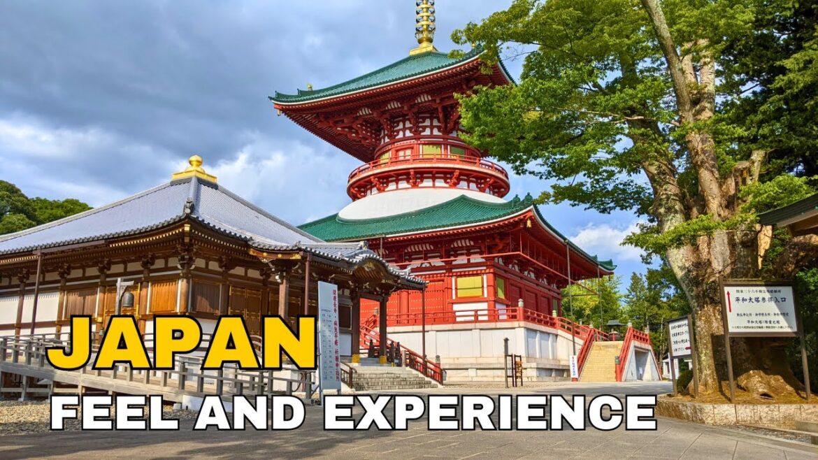 FEEL AND EXPERIENCE Naritasan Shinshoji Temple Narita Chiba