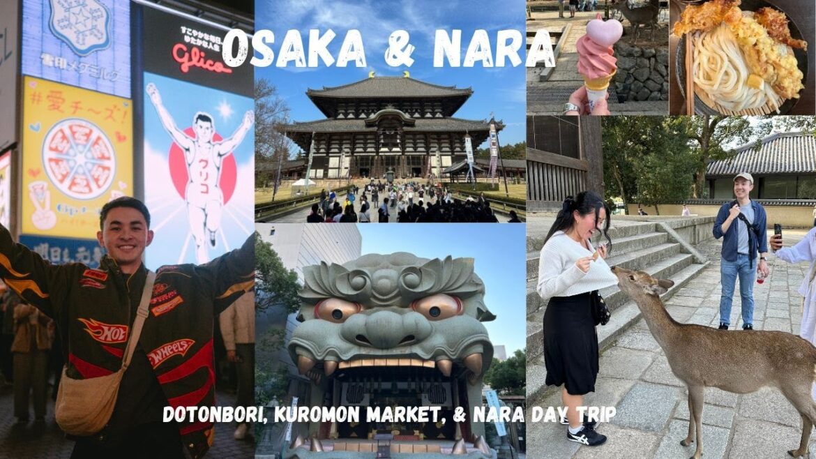 osaka & nara, japan vlog 🇯🇵 | bowing deers in nara, dotonbori, & kuromon market