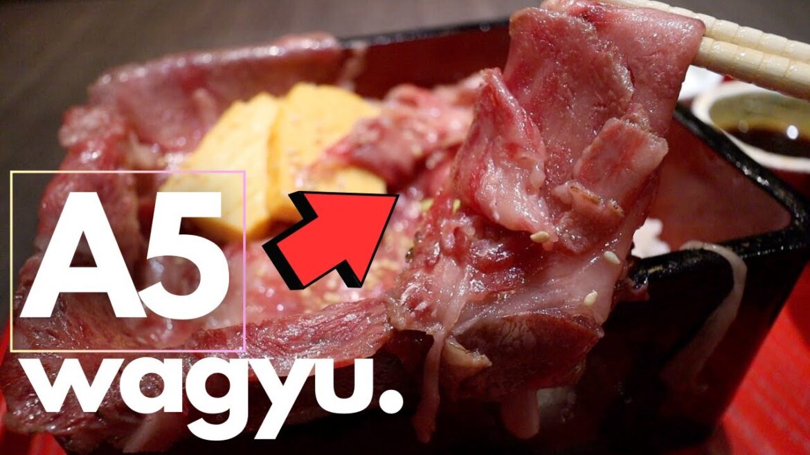 $10 Food Challenge at Tokyo’s Most Expensive Area! $10 Food Challenge at Tokyo's Most Expensive Area!