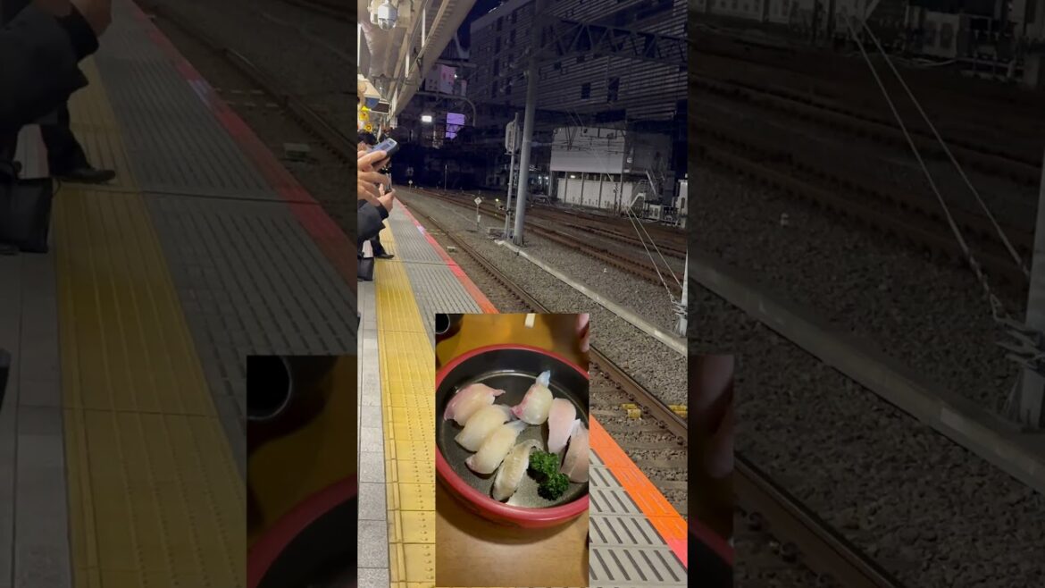 Welcome to Japan ( Fukuoka) #japan #food #cat #travel #fukuoka #japantravel #train