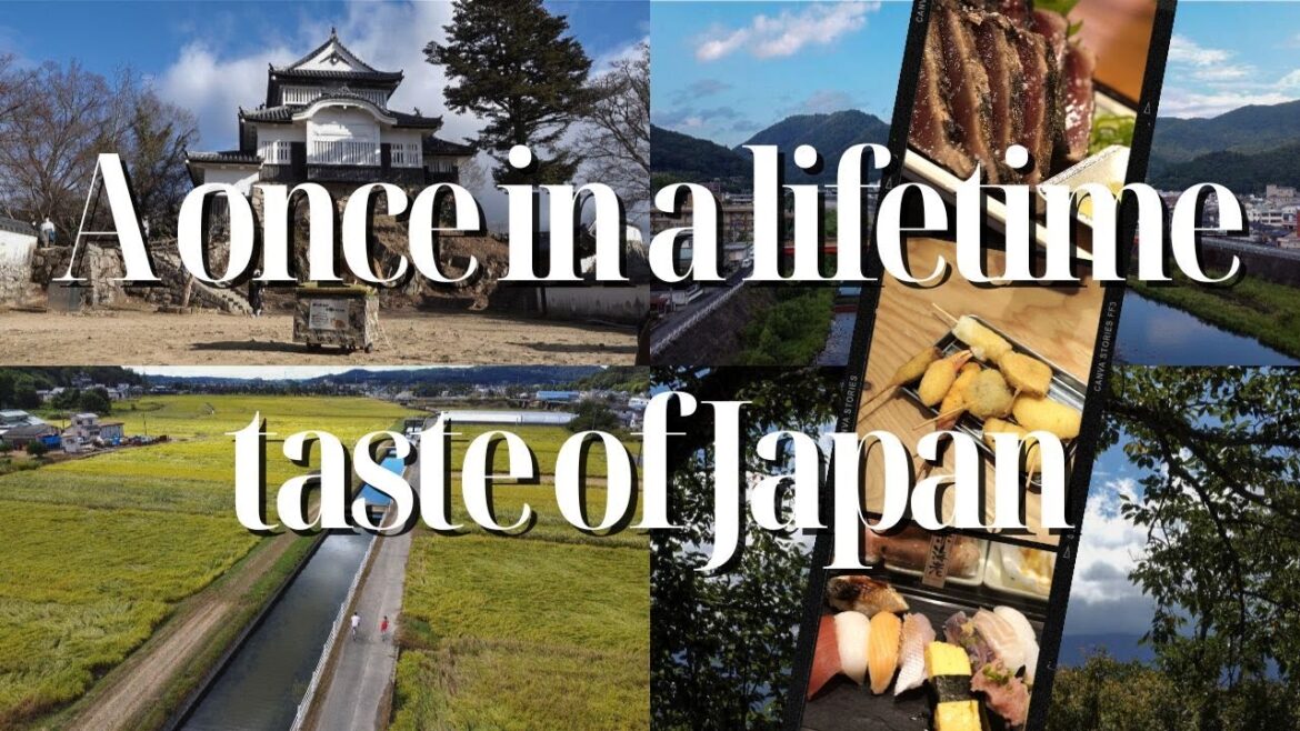 A Once-in-a-Lifetime Taste of Japan | #JETVideoContest2024 | 一期一会 A Once-in-a-Lifetime Taste of Japan | #JETVideoContest2024 | 一期一会