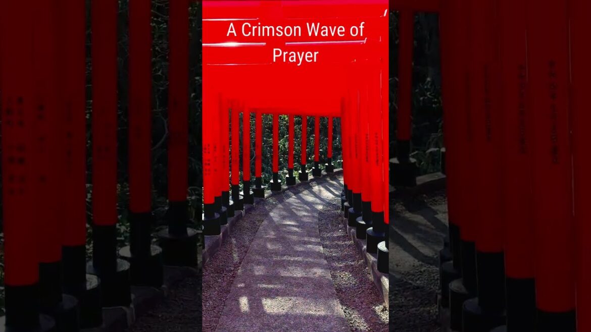 Wandering through Divine Pathway: Aomori's Crimson Wave of Prayer #aomori #travel #japan