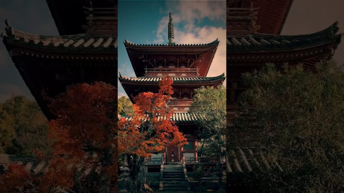 TAISAN-JI in autumn🍁🍂 #japan #kobe #travel #shorts