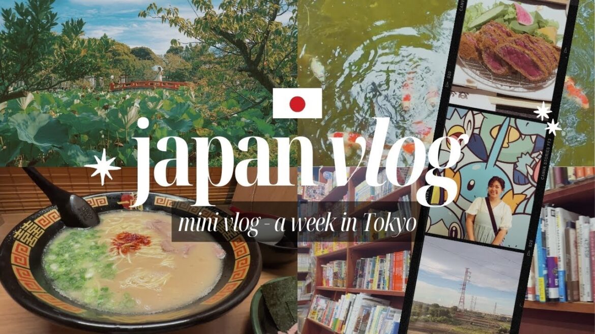 ✷ Japan Vlog ✷ A week in Tokyo – Hotel in Shinjuku, Visiting Tokyo Disney Sea, Pokémon Café & More! ✷ Japan Vlog ✷ A week in Tokyo - Hotel in Shinjuku, Visiting Tokyo Disney Sea, Pokémon Café & More!