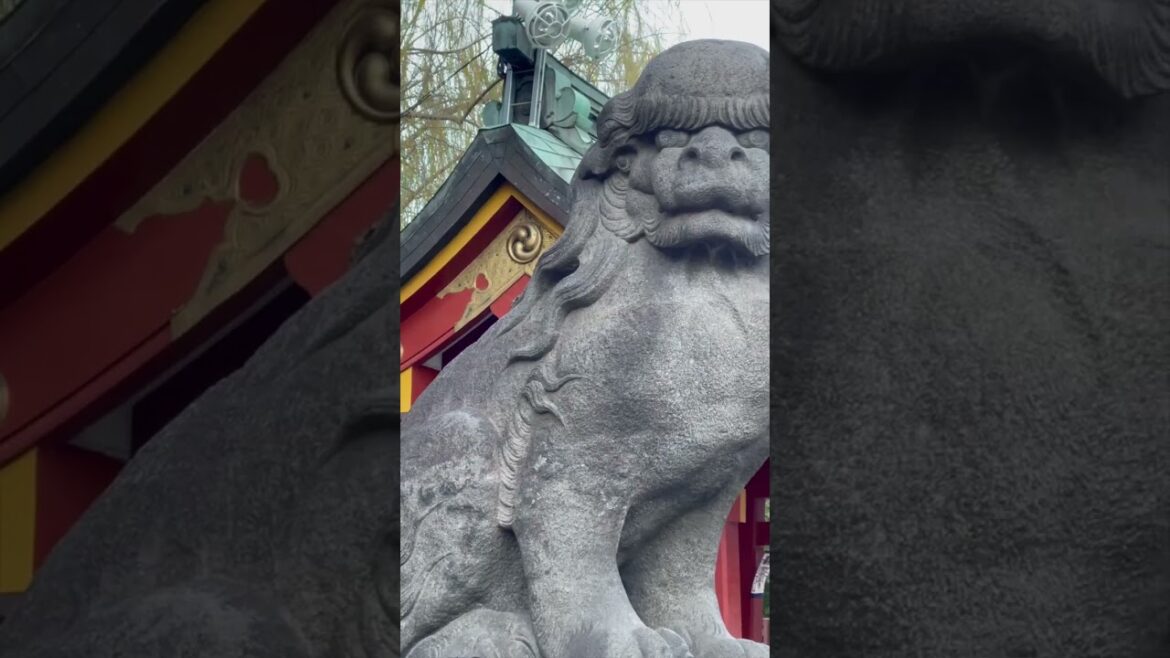 Asakusa Shrine #Asakusa #Tokyo #Japan #travel