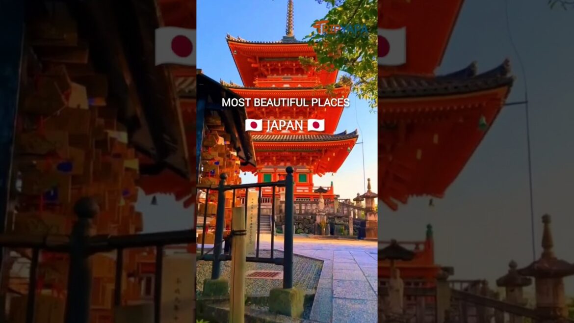 🇯🇵Japan 🇯🇵 (Day 18/365 Destinations) #travel #shortvideo #shorts