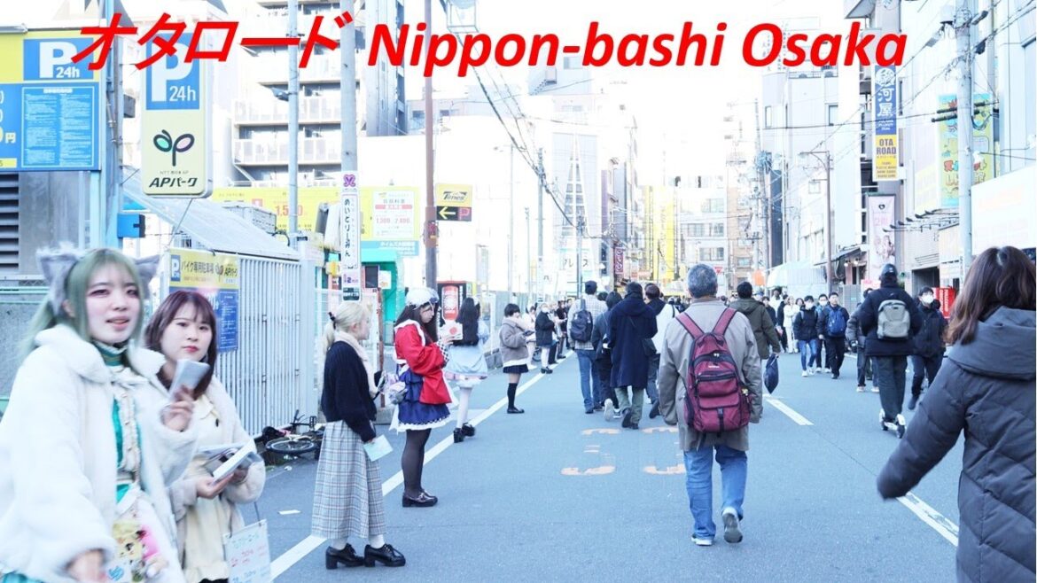 Walking nippon-bashi OTA road(geek road) in Osaka. – 4K Japan travel video – Walking nippon-bashi OTA road(geek road) in Osaka. - 4K Japan travel video -