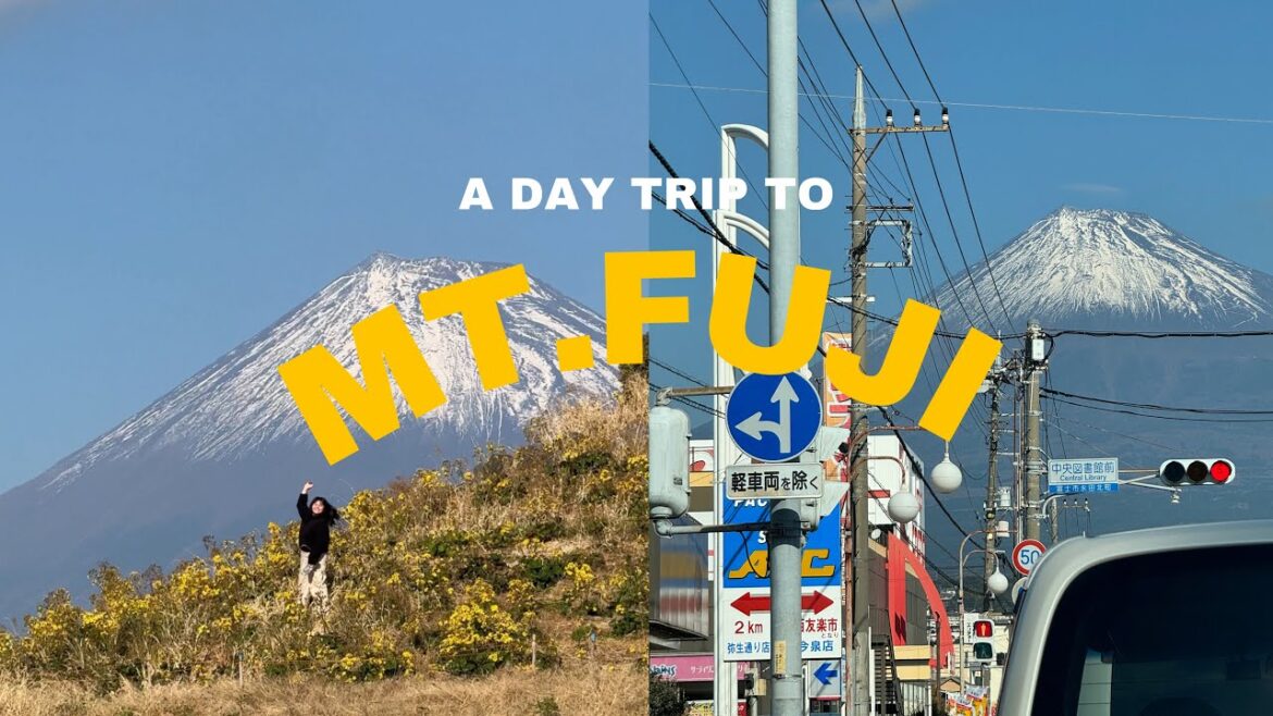 A Day Trip to Mt.Fuji | shinkansen | mcdonalds in japan, driving in japan, things to do in mt.fuji