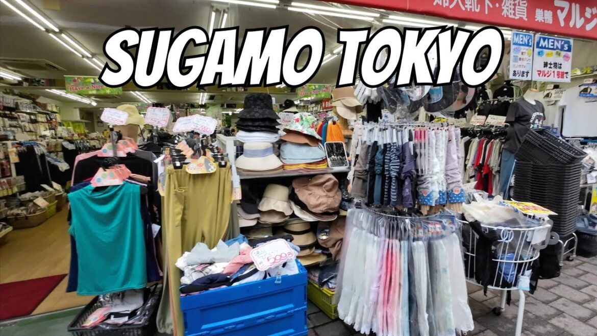 Sugamo - Tokyo's Shopping District for Seniors  [4K]