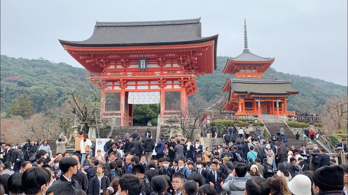 7 day Solo JR Pass-Nagasaki, Hiroshima, Kyoto, Mt Fuji, Tokyo, & Aomori@Rixtrips 7 day Solo JR Pass-Nagasaki, Hiroshima, Kyoto, Mt Fuji, Tokyo, & Aomori@Rixtrips