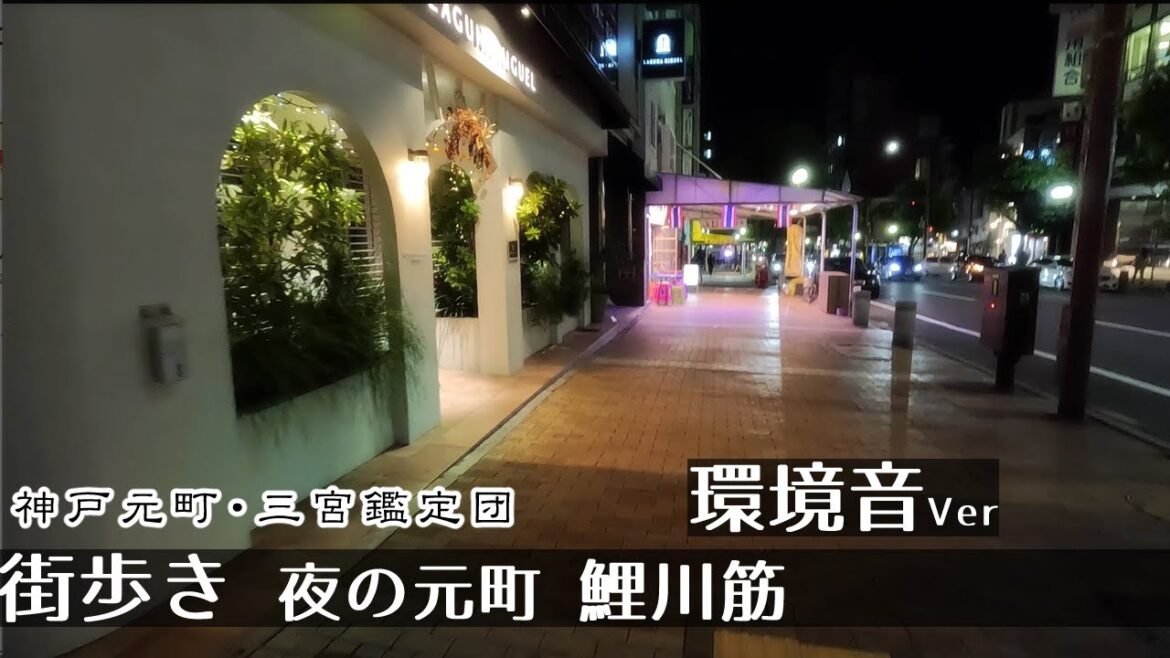 【環境音ver】夜 神戸元町・鯉川筋 街歩き散歩2K GoProHero11 Night Walk in Kobe. Japan 【環境音ver】夜 神戸元町・鯉川筋 街歩き散歩2K GoProHero11 Night Walk in Kobe. Japan