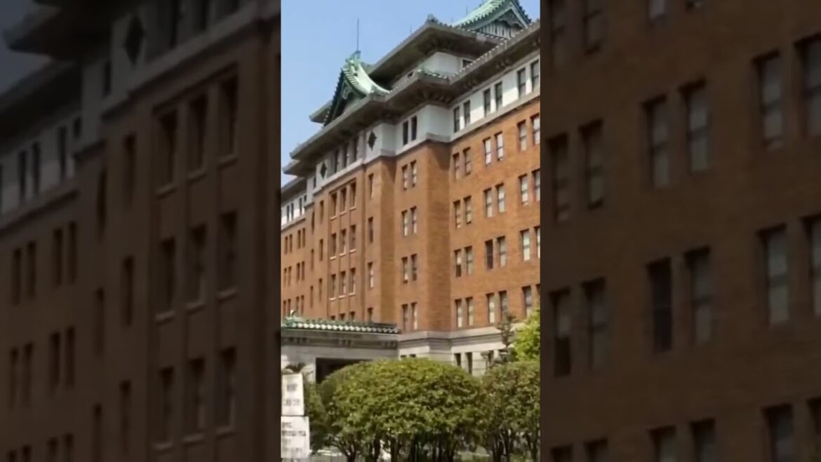 Nagoya Castle  #japan #japanese #japanlife  #japantravel #japanvlog #nagoya