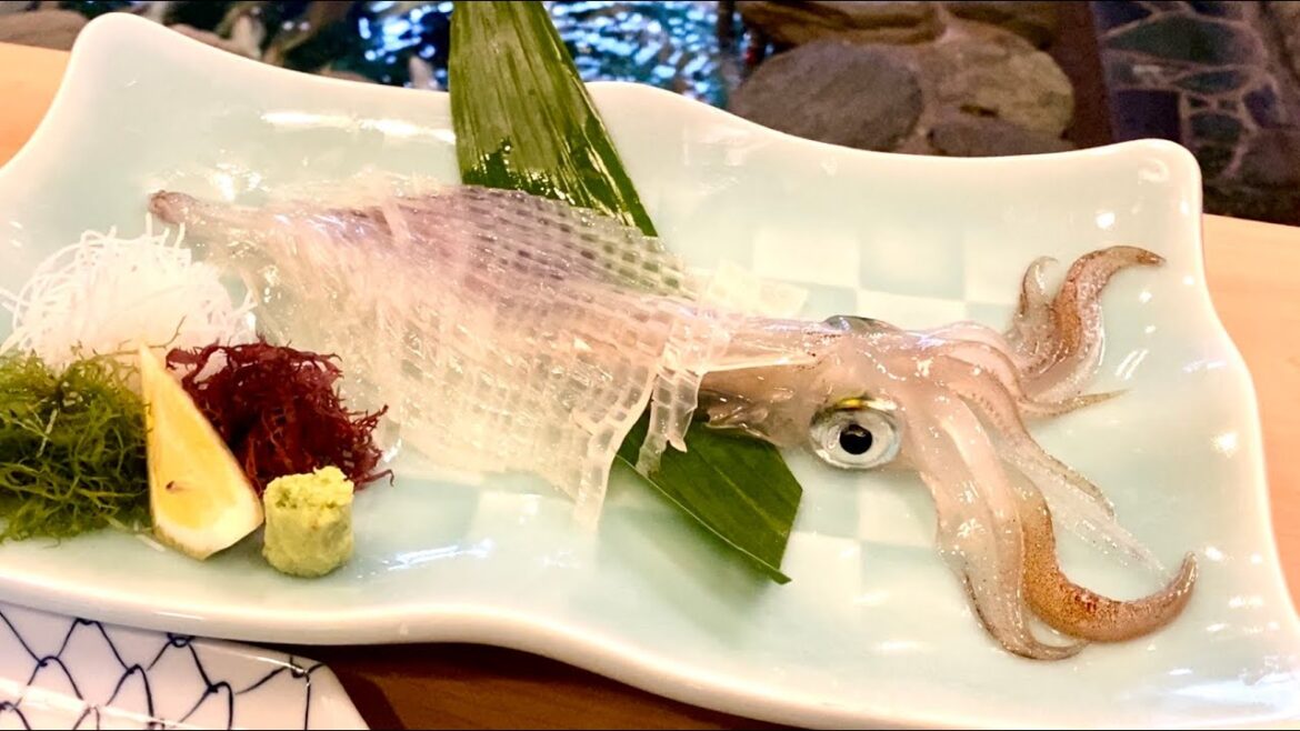 Eating super fresh squid swimming in a fish tank right in front of you in Japan