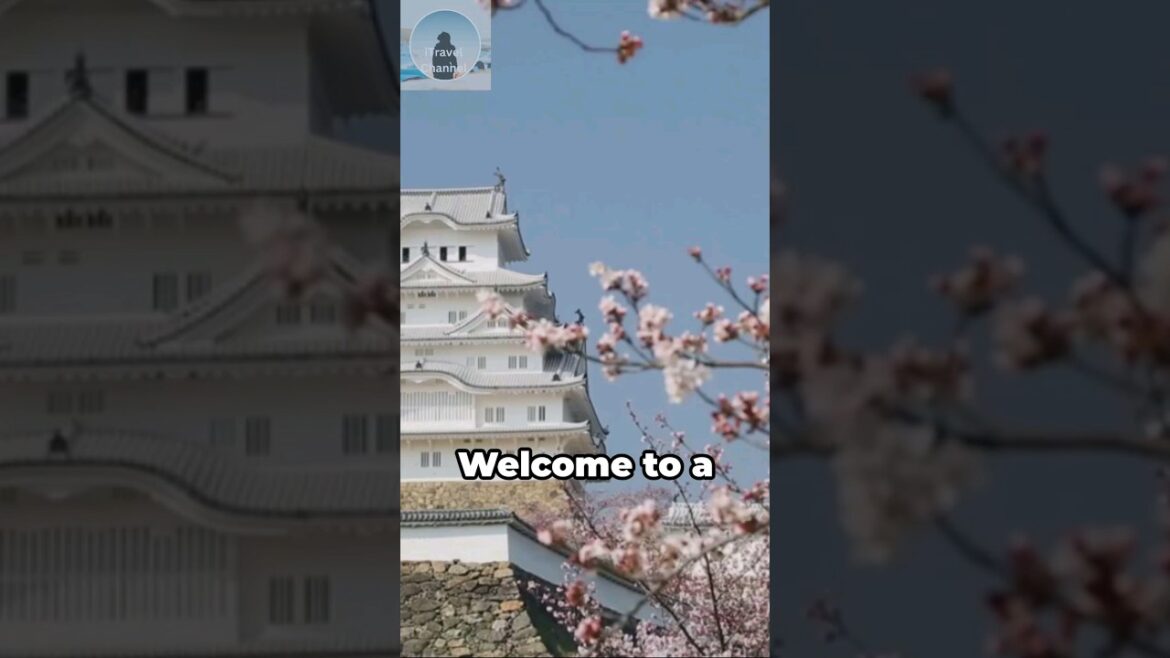 🇯🇵 Osaka Travel Guide : Discover the City’s Hidden Gems  #mustseeplaces #touristattractions 🇯🇵 Osaka Travel Guide : Discover the City's Hidden Gems  #mustseeplaces #touristattractions